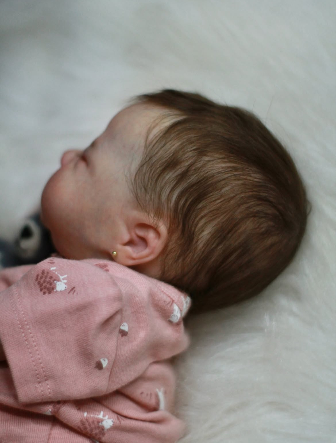 Enraizamento fio a fio