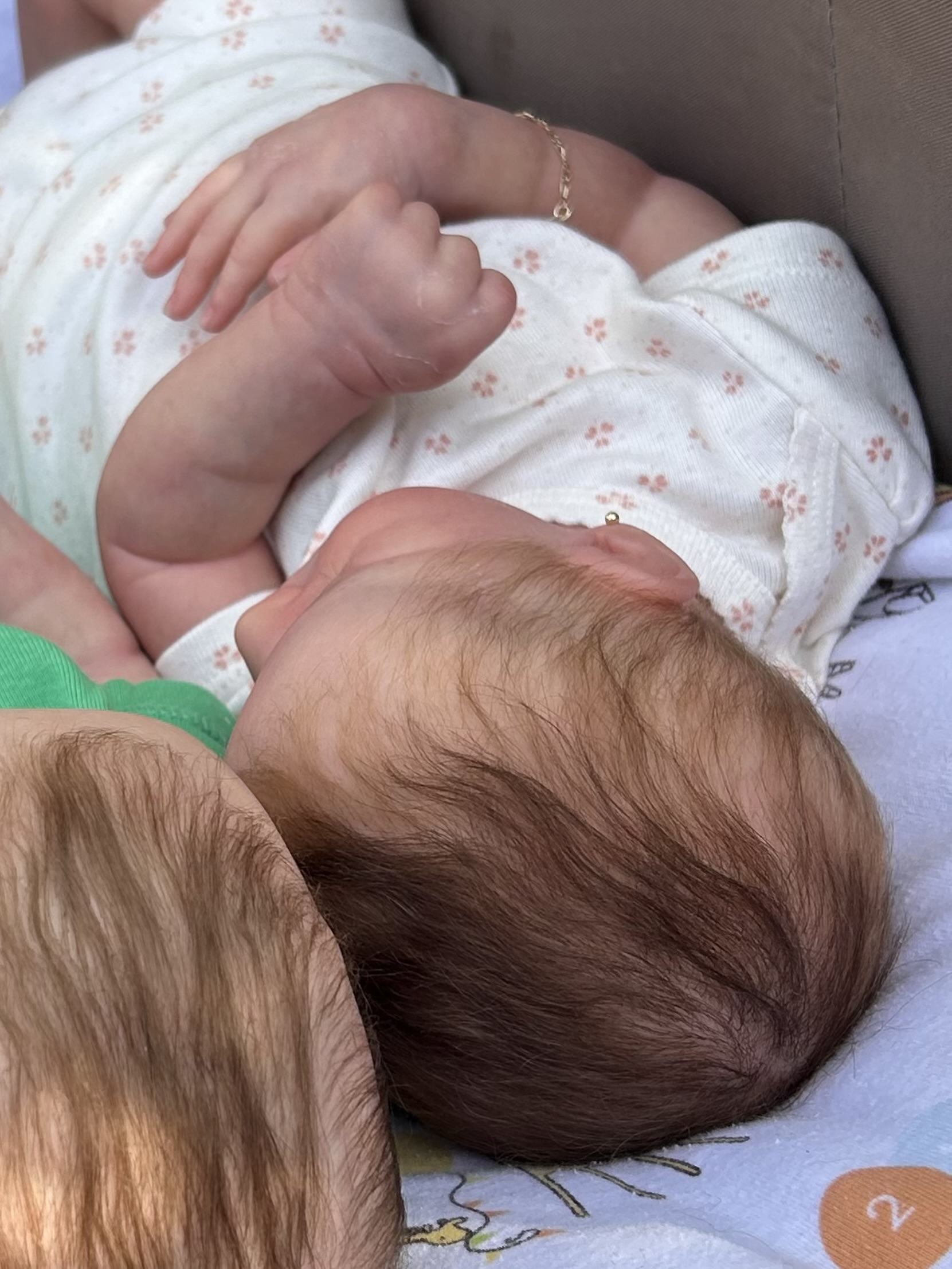 Enraizamento fio a fio