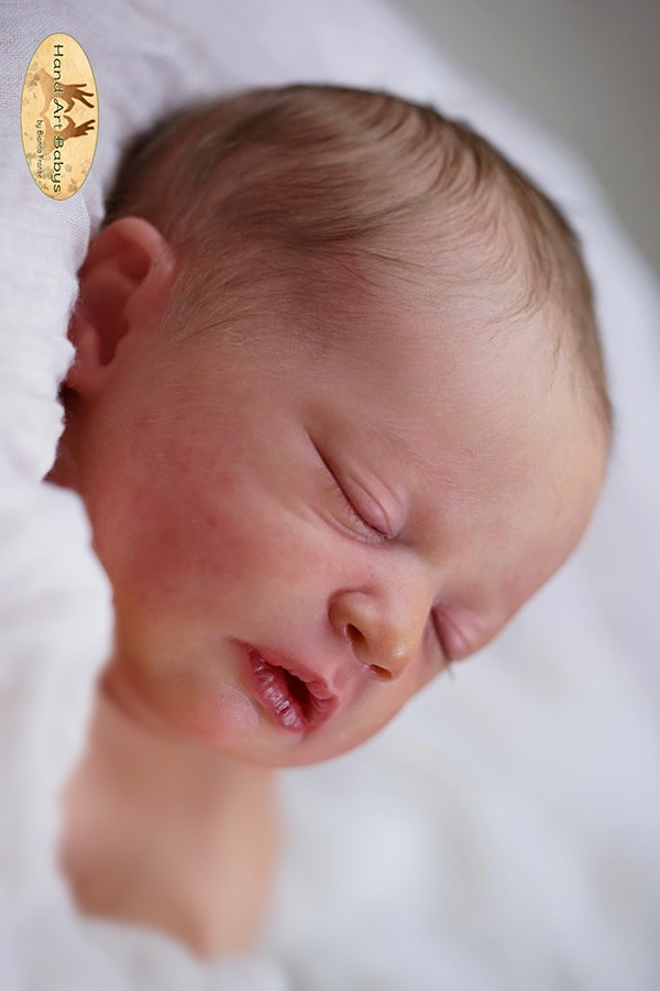 Bebê Reborn kit Skya dormindo